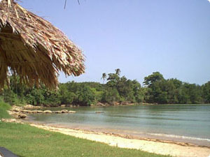 Nearby Beach